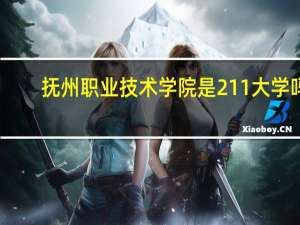 抚州职业技术学院是211大学吗