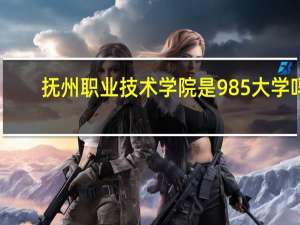 抚州职业技术学院是985大学吗