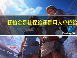 抚恤金是社保给还是用人单位给付