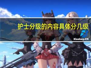 护士分级的内容具体分几级