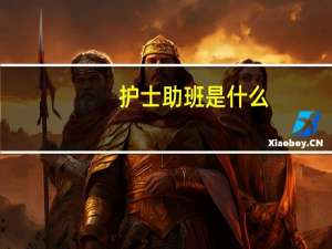 护士助班是什么