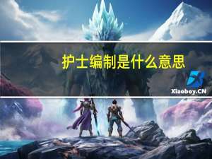 护士编制是什么意思