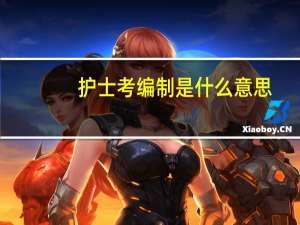 护士考编制是什么意思