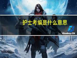 护士考编是什么意思