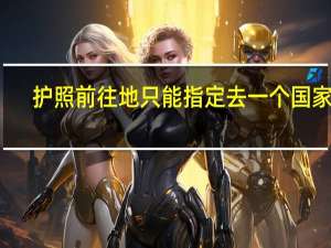 护照前往地只能指定去一个国家吗