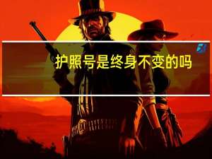 护照号是终身不变的吗