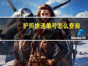 护照快递单号怎么查询