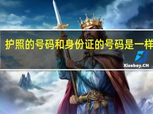 护照的号码和身份证的号码是一样的吗