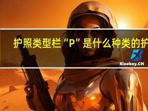 护照类型栏“P”是什么种类的护照