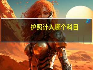 护照计入哪个科目