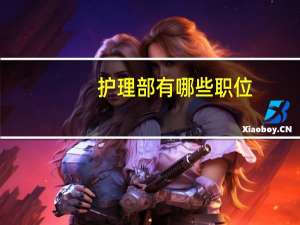 护理部有哪些职位