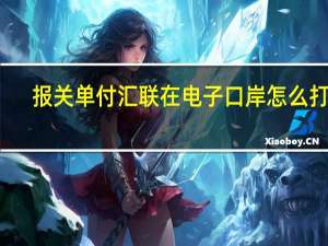 报关单付汇联在电子口岸怎么打印（报关单在电子口岸哪里打印）