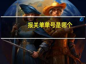 报关单单号是哪个