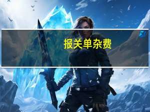 报关单杂费