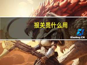 报关员什么用