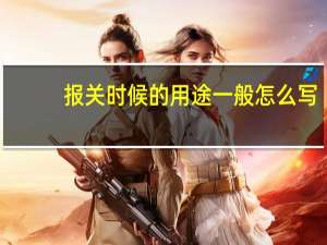 报关时候的用途一般怎么写