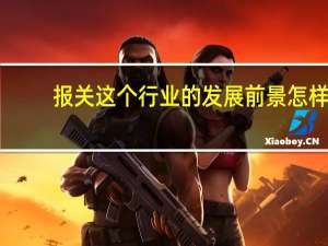 报关这个行业的发展前景怎样