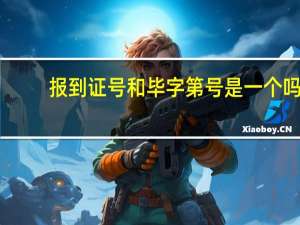 报到证号和毕字第号是一个吗