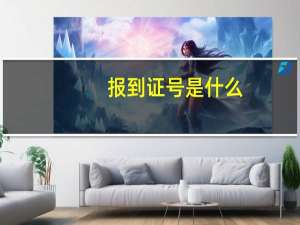 报到证号是什么
