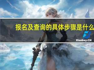 报名及查询的具体步骤是什么_