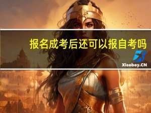 报名成考后还可以报自考吗