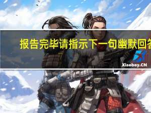 报告完毕请指示下一句幽默回答