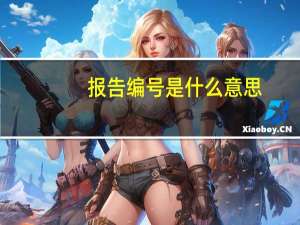 报告编号是什么意思