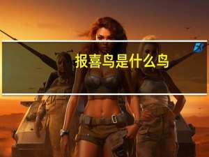 报喜鸟是什么鸟