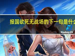 报国欲死无战场的下一句是什么