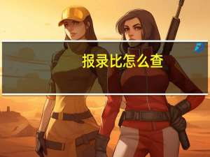 报录比怎么查