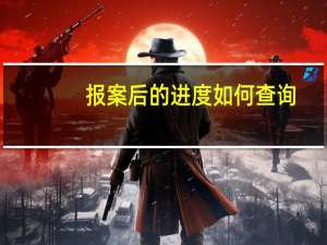 报案后的进度如何查询