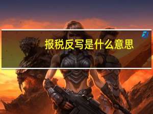 报税反写是什么意思
