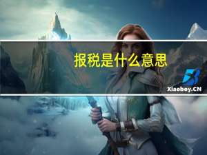 报税是什么意思