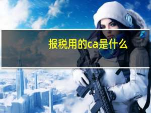 报税用的ca是什么