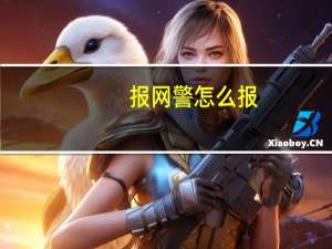 报网警怎么报（报网）