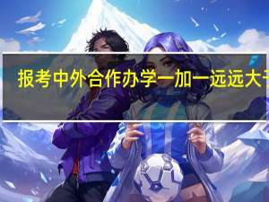 报考中外合作办学一加一远远大于二