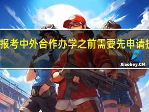 报考中外合作办学之前需要先申请护照吗