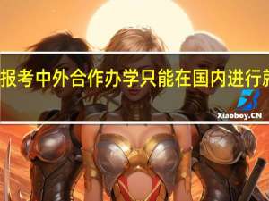 报考中外合作办学只能在国内进行就读吗