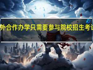 报考中外合作办学只需要参与院校招生考试就可以了吗