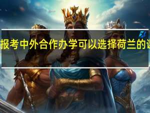 报考中外合作办学可以选择荷兰的课程吗