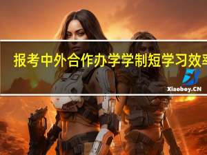 报考中外合作办学学制短学习效率高