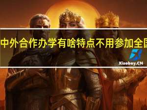 报考中外合作办学有啥特点不用参加全国统一考试