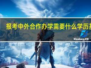 报考中外合作办学需要什么学历基础
