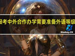 报考中外合作办学需要准备外语等级证书吗