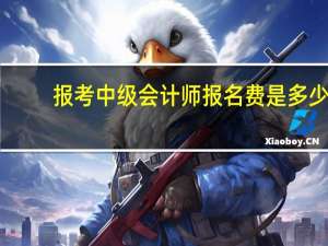 报考中级会计师报名费是多少