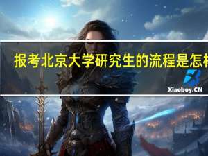 报考北京大学研究生的流程是怎样的