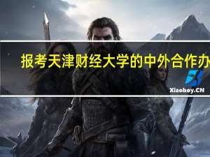 报考天津财经大学的中外合作办学