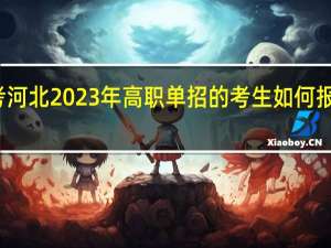 报考河北2023年高职单招的考生如何报考和缴费？需要注意哪些内容？