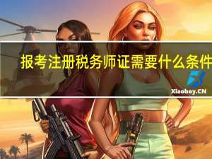 报考注册税务师证需要什么条件啊
