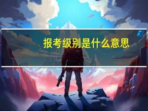 报考级别是什么意思